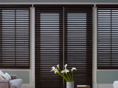 Horizontal Blinds