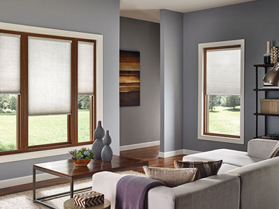 Living Room Blinds